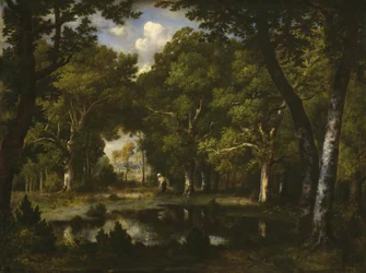 Pond in the Woods