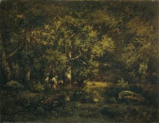 The Forest of Fontainebleau