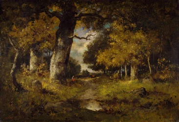 Woodland Scene