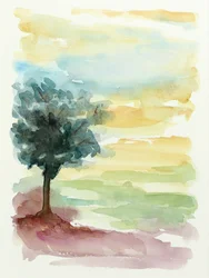 Lone Tree Sunset