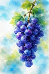 Purple Grapes Watercolor