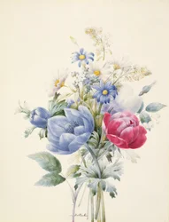 A Rose, Anemone, Mignonette and Daisies