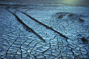 Photograph of a dried bed of chemical sludge patterns and tracks from a car or truck