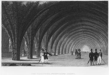 The Cloisters, Fountains Abbey
