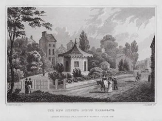 The New Sulphur Spring, Harrogate