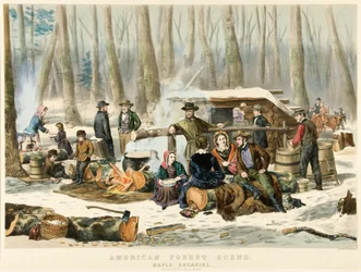 American Forest Scene - Maple Sugaring