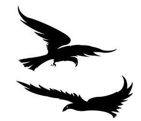 Bird Silhouettes, 2022