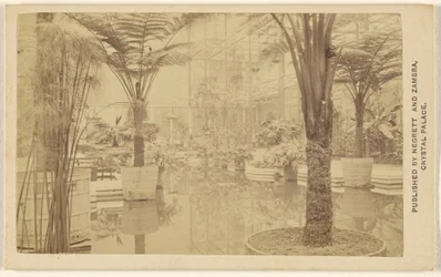 Trophies [Plant Growths, Interior at Crystal Palace]
