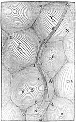 The Universe, from 