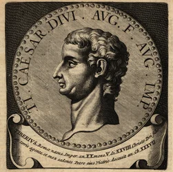 Unknown Image