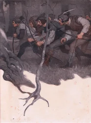 Inside Cover Design