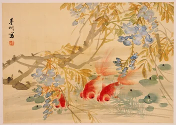 Goldfish