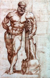 Hercules
