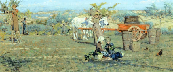 In the fields