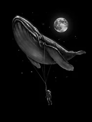 Cosmic Whale Ride