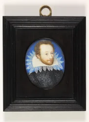 A Gentleman Called the Earl of Essex