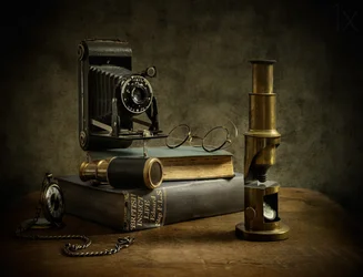 Old World Study