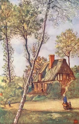 Rural Scene