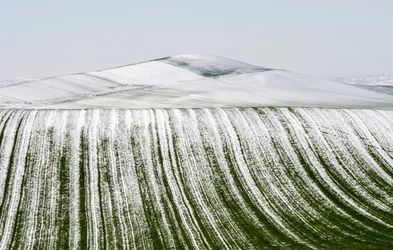 Snowy Field Patterns