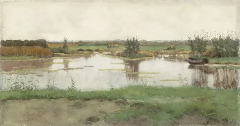 A Pond in a Meadow