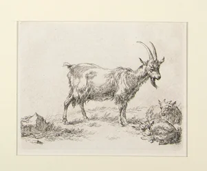6 Etchings