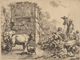 Cow Drinking