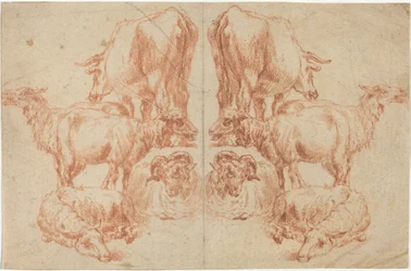 Four Sheep and a Cow