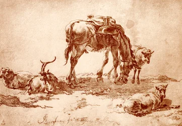 Pasture with Donkey, Goat and Sheep