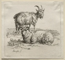 Ram and Goat