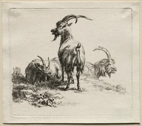 Three Goats