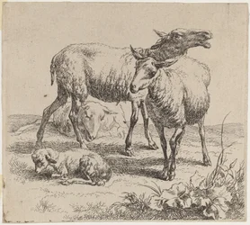 Three Sheep and a Lamb