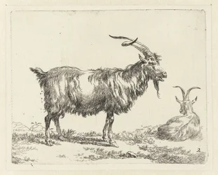 Two Goats Goats (series title) Animalia ad vivum delineata et aqua forti aeri impressa Studio et Arte Nicolai Berchemi (series title)