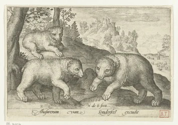 Three Bears (Animals in Landscapes)