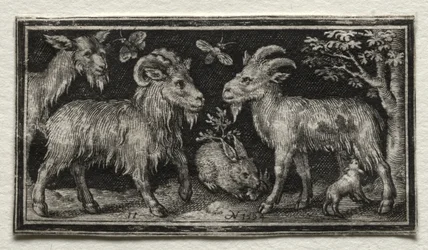 Goats and Hare