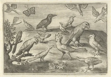 Hoopoe and Other Birds (series title: Birds and Insects)