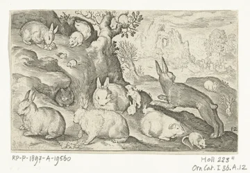 Rabbits, Squirrel, Guinea Pig, and Mouse (Series: Animalivm Qvadrvpedvm, Animals in Landscapes)