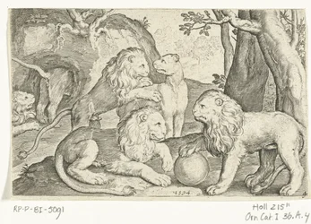 Lions (series title: Animalivm qvadrvpedvm, Dieren in landschappen)