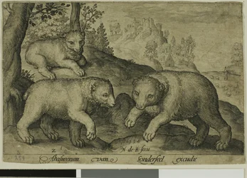 Three Bears, plate ten from Four-Legged Animals