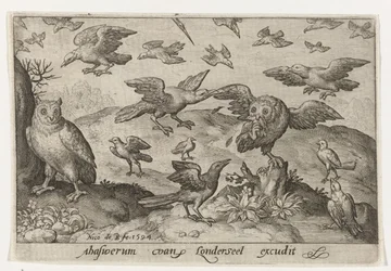 Owl with Prey Attacked by Other Birds (series: Birds and Insects)