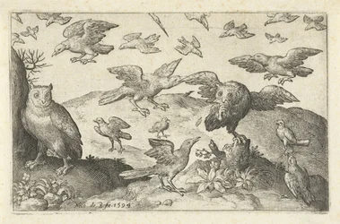 Owl with Prey Attacked by Other Birds