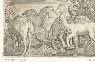 Four Dromedaries, Animalivm qvadrvpedvm (series title), Animals in Landscapes (series title)