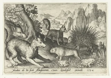 Wild Boar, Foxes, Beaver, Porcupine, and Frogs (Animalivm qvadrvpedvm series) (Animals in Landscapes series)