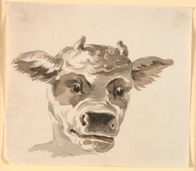 Minotaur