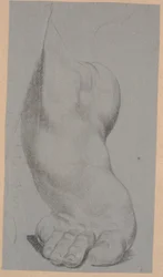 Study of a Foot