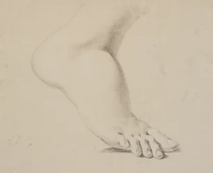 Study of a Foot