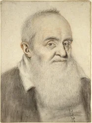 Head of a Bearded Man