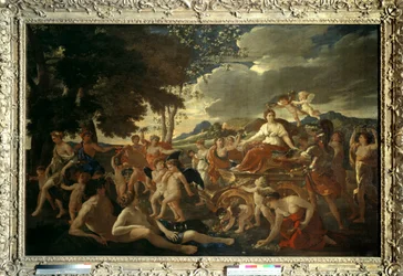 Flora