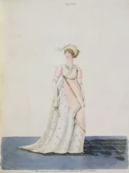 Afternoon dress, fig. 303 from Nikolaus Heideloff