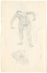 Model Study