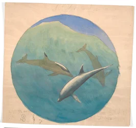 Jumping Dolphins